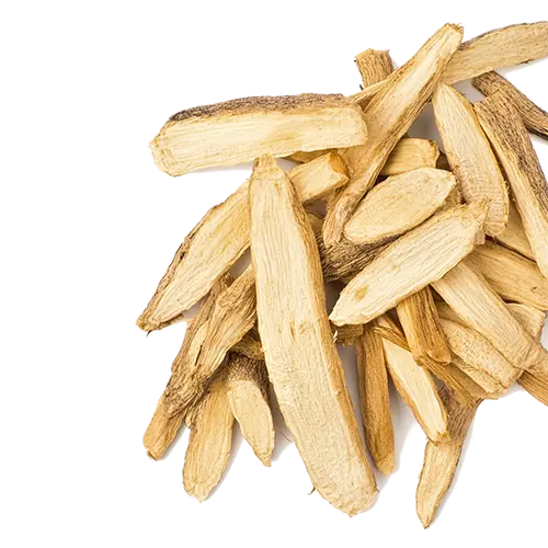 Astragalus Root