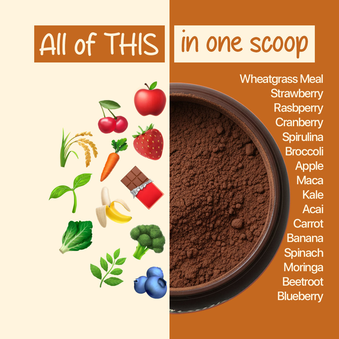 Chocolate Growth Shake